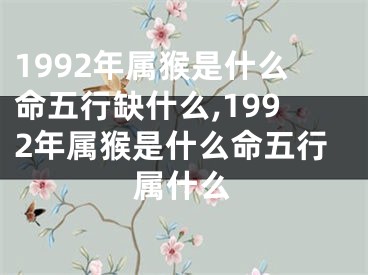 1992年属猴是什么命五行缺什么,1992年属猴是什么命五行属什么