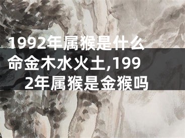 1992年属猴是什么命金木水火土,1992年属猴是金猴吗