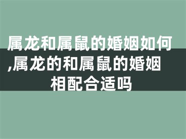 属龙和属鼠的婚姻如何,属龙的和属鼠的婚姻相配合适吗