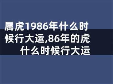 属虎1986年什么时候行大运,86年的虎什么时候行大运