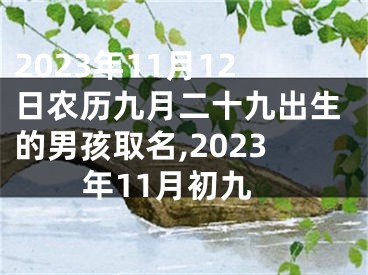 2023年11月12日农历九月二十九出生的男孩取名,2023年11月初九