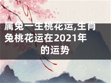 属兔一生桃花运,生肖兔桃花运在2021年的运势