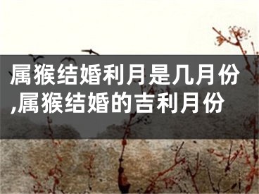 属猴结婚利月是几月份,属猴结婚的吉利月份