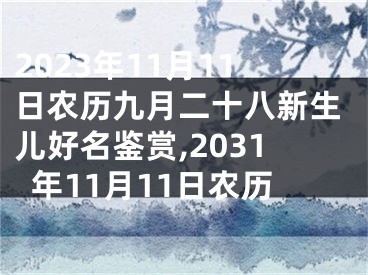 2023年11月11日农历九月二十八新生儿好名鉴赏,2031年11月11日农历