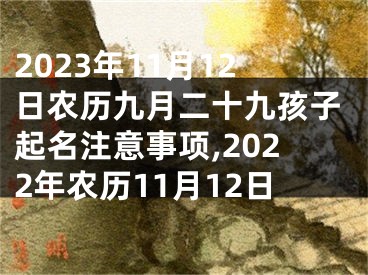 2023年11月12日农历九月二十九孩子起名注意事项,2022年农历11月12日