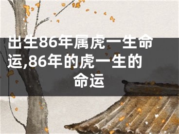 出生86年属虎一生命运,86年的虎一生的命运