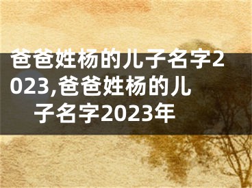 爸爸姓杨的儿子名字2023,爸爸姓杨的儿子名字2023年