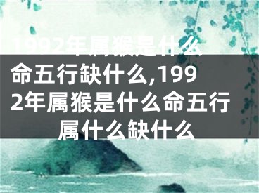 1992年属猴是什么命五行缺什么,1992年属猴是什么命五行属什么缺什么