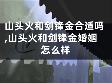 山头火和剑锋金合适吗,山头火和剑锋金婚姻怎么样