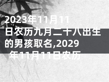 2023年11月11日农历九月二十八出生的男孩取名,2029年11月11日农历