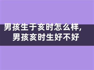 男孩生于亥时怎么样,男孩亥时生好不好