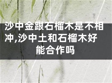 沙中金跟石榴木是不相冲,沙中土和石榴木好能合作吗