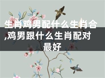 生肖鸡男配什么生肖合,鸡男跟什么生肖配对最好