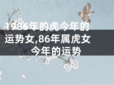 1986年的虎今年的运势女,86年属虎女今年的运势