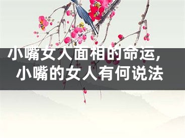 小嘴女人面相的命运,小嘴的女人有何说法