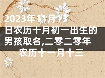 2023年11月13日农历十月初一出生的男孩取名,二零二零年农历十一月十三