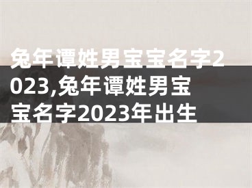 兔年谭姓男宝宝名字2023,兔年谭姓男宝宝名字2023年出生