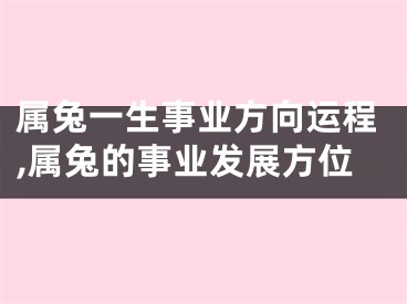 属兔一生事业方向运程,属兔的事业发展方位