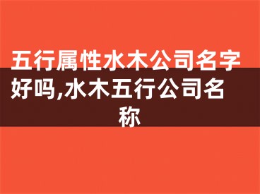 五行属性水木公司名字好吗,水木五行公司名称