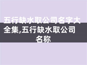 五行缺水取公司名字大全集,五行缺水取公司名称