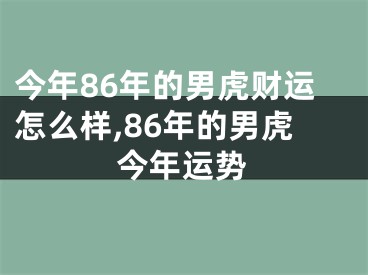 今年86年的男虎财运怎么样,86年的男虎今年运势