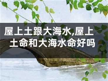 屋上土跟大海水,屋上土命和大海水命好吗