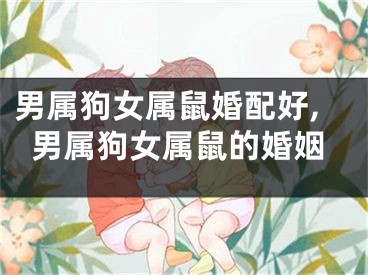 男属狗女属鼠婚配好,男属狗女属鼠的婚姻