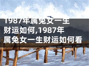 1987年属兔女一生财运如何,1987年属兔女一生财运如何看