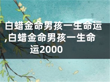 白蜡金命男孩一生命运,白蜡金命男孩一生命运2000