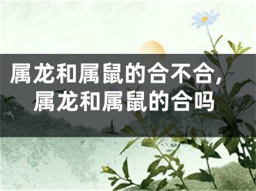 属龙和属鼠的合不合,属龙和属鼠的合吗