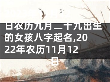 2023年11月12日农历九月二十九出生的女孩八字起名,2022年农历11月12日