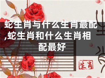 蛇生肖与什么生肖最配,蛇生肖和什么生肖相配最好