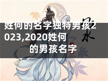 姓何的名字独特男孩2023,2020姓何的男孩名字