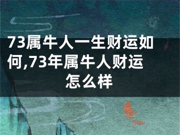 73属牛人一生财运如何,73年属牛人财运怎么样