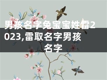 男孩名字兔宝宝姓雷2023,雷取名字男孩名字