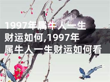 1997年属牛人一生财运如何,1997年属牛人一生财运如何看