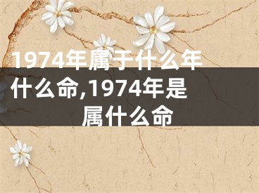 1974年属于什么年什么命,1974年是属什么命