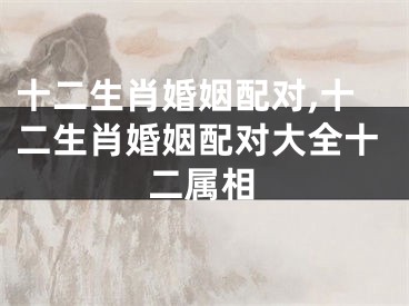 十二生肖婚姻配对,十二生肖婚姻配对大全十二属相