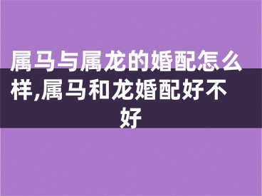 属马与属龙的婚配怎么样,属马和龙婚配好不好