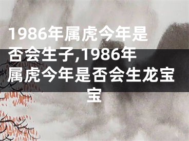 1986年属虎今年是否会生子,1986年属虎今年是否会生龙宝宝