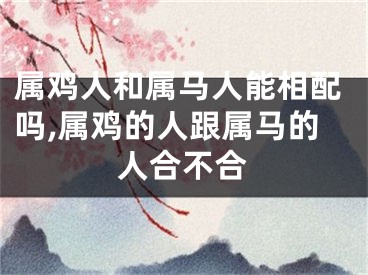 属鸡人和属马人能相配吗,属鸡的人跟属马的人合不合