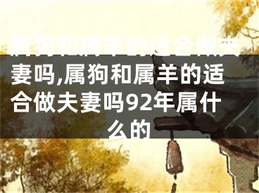 属狗和属羊的适合做夫妻吗,属狗和属羊的适合做夫妻吗92年属什么的