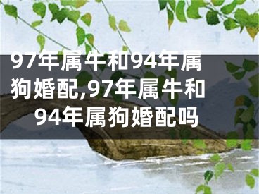 97年属牛和94年属狗婚配,97年属牛和94年属狗婚配吗