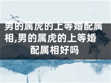 男的属虎的上等婚配属相,男的属虎的上等婚配属相好吗