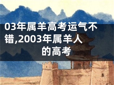 03年属羊高考运气不错,2003年属羊人的高考