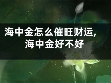 海中金怎么催旺财运,海中金好不好