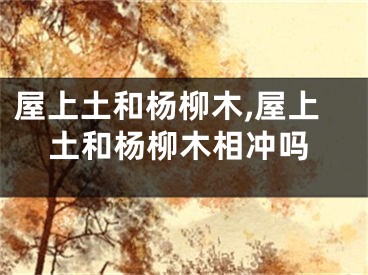 屋上土和杨柳木,屋上土和杨柳木相冲吗