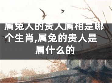 属兔人的贵人属相是哪个生肖,属兔的贵人是属什么的