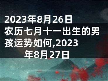 2023年8月26日农历七月十一出生的男孩运势如何,2023年8月27日