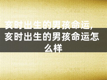 亥时出生的男孩命运,亥时出生的男孩命运怎么样